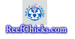 reefchicks