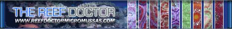 Reef Doctor
